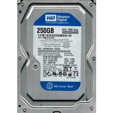 WD2500AAKS-22L6A0