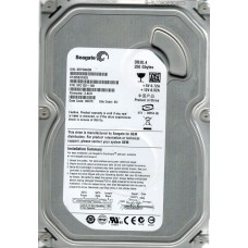 ST3250310CS
