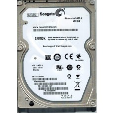 ST9250315AS