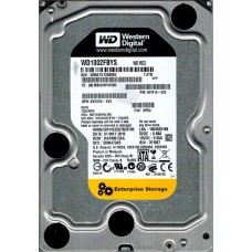 WD1002FBYS-704AB0