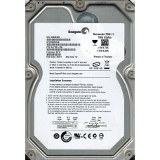 ST31500341AS 9JU138-336 SD19 TK