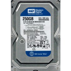 WD2500AAKS-00F0A0 
