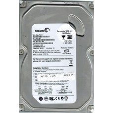 ST3160815AS
