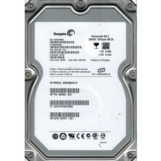 ST3250310NS