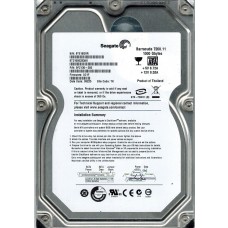 ST31000333AS