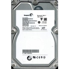 ST31000333AS