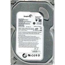 ST3320310CS
