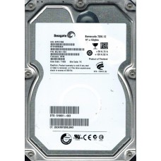 ST31000528AS