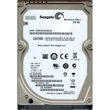 ST9250410AS
