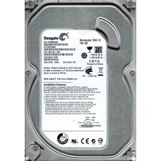 ST3160318AS 9SL13A-302 CC38 WU