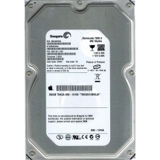 ST3250824AS