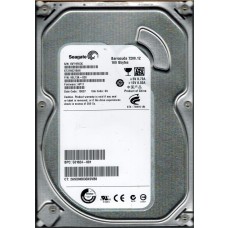 ST3160318AS 9SL13A-020 HP11