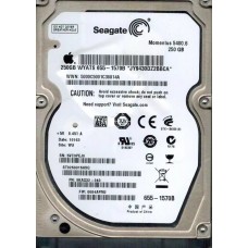 ST9250315ASG