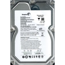 ST31000340NS