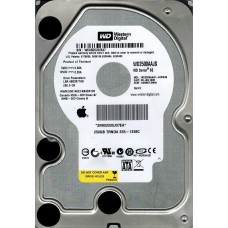 WD2500AAJS-40VWA0