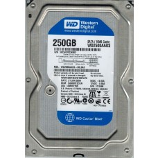 WD2500AAKS-00L9A0