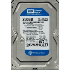 WD2500AAJS-22L9A0