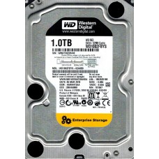 WD1002FBYS-02A6B0