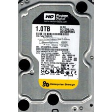 WD1002FBYS-02A6B0