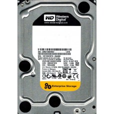 WD1002FBYS-05A6B0