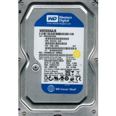 WD2500AAJS-65M0A0