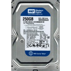 WD2500AAJS-22L7A0