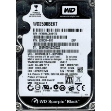 WD2500BEKT-60PVMT0