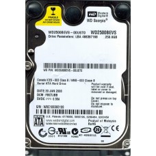 WD2500BEVS-00UST0