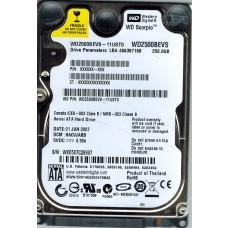 WD2500BEVS-11UST0