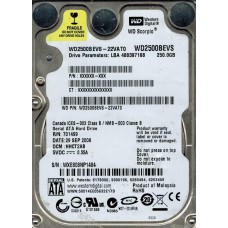 WD2500BEVS-22VAT0