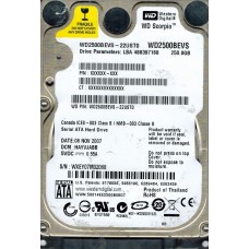 WD2500BEVS-22UST0