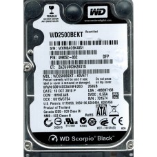 WD2500BEKT-60V5T1