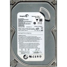 ST3320613AS 9FZ162-302 CC2J TK