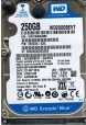 WD2500BEVT-22A23T0 