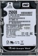 WD2500BEKT-66PVMT0