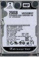 WD2500BEKT-00F3T0