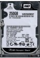 WD2500BEKT-00F3T0