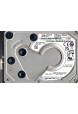 WD50NDZW-11A8JS1