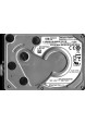 WD50NDZW-11A8JS1