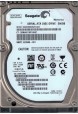 ST9500423AS