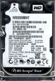 WD3200BEKT-60V5T1