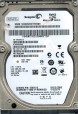  ST9250315AS