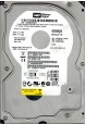 WD2500JB-22REA0