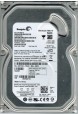 ST3250310AS
