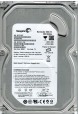 ST3250310AS
