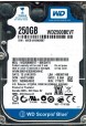 WD2500BEVT-00EGHT0