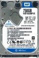 WD7500BPVX-60JC3T0
