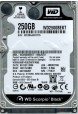 WD2500BEKT-00A25T0