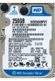 WD2500BPVT-22ZEST0