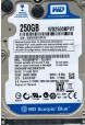 WD2500BPVT-22JJ5T0